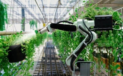 Robot Watering