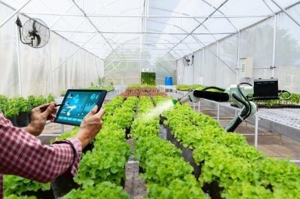 A Person Inside The Greenhouse