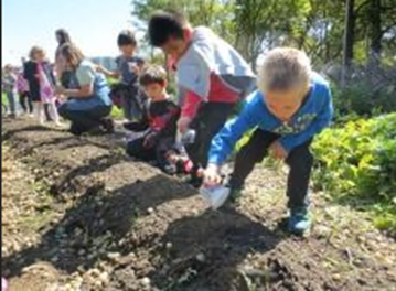 Planting