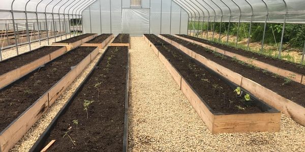 Inside the Greenhouse